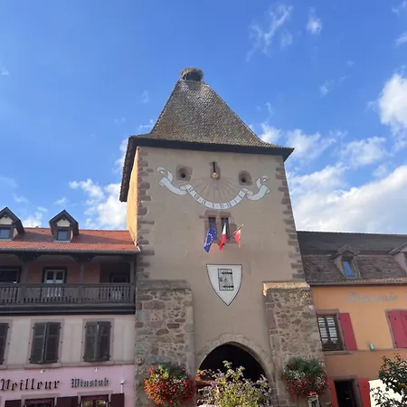 Duplex Au Coeur De Turckheim, 10 Min De Colmar Et Place De Parking Exterior photo