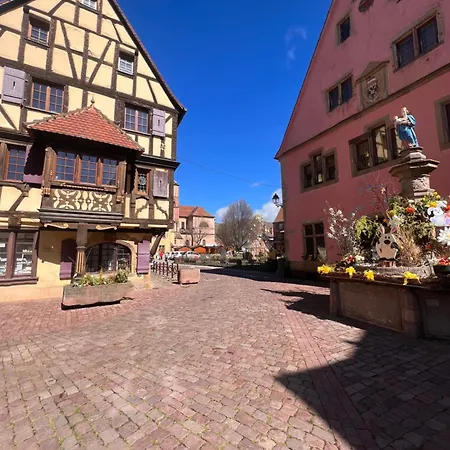 Duplex Au Coeur De Turckheim, 10 Min De Colmar Et Place De Parking Exterior photo