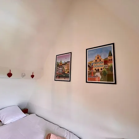 Duplex Au Coeur De Turckheim, 10 Min De Colmar Et Place De Parking Exterior photo